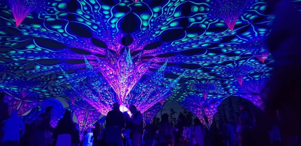 Photo de nuit de la canopée du festival Hop Into Goa