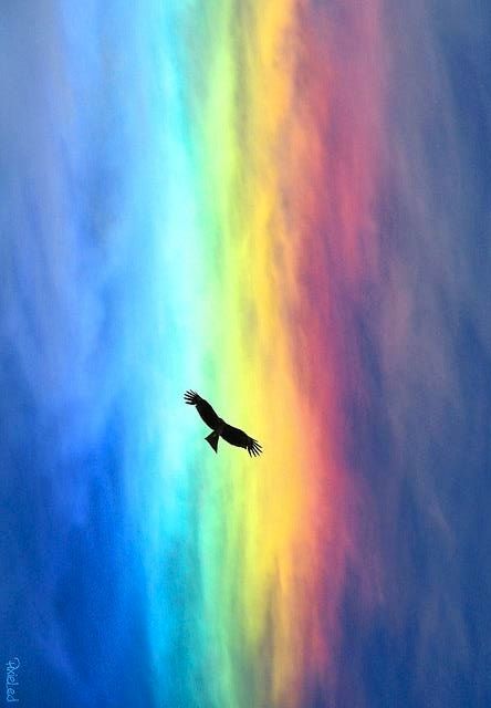 Ma signature artistique : l’art multi-technique au service de l’exploration | Clémentine Rainbow Flow