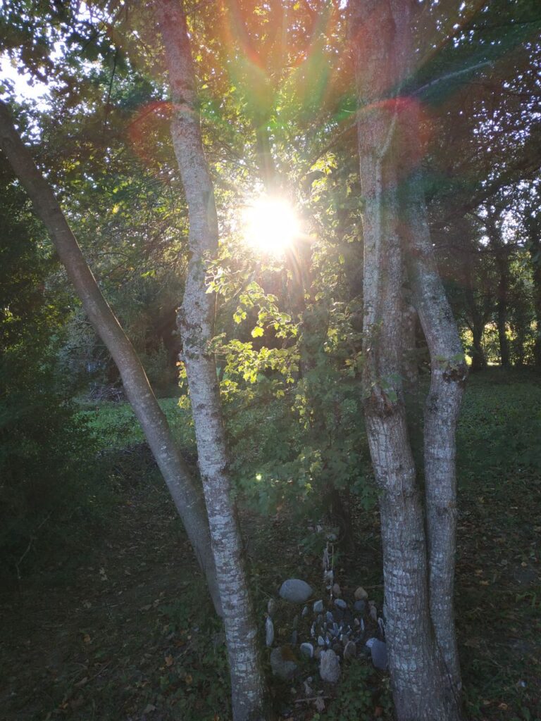 autel du jardin -rainbow light